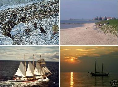 Chalet �/en/au Warns (Friesland)ou appartement ou maison de vacances