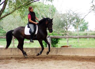 Maison de vacances �/en/au Montarnaud (H�rault)ou appartement ou maison de vacances