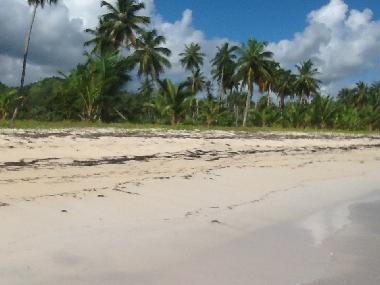 Villa �/en/au SAMANA (Samana)ou appartement ou maison de vacances