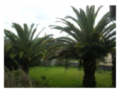 Villa /en/au Cuide Vilaverde (Norte)ou appartement ou maison de vacances