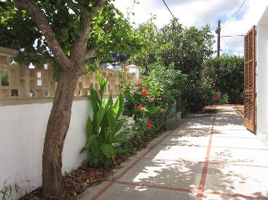 Maison de vacances /en/au Sa Rapita (Mallorca)ou appartement ou maison de vacances