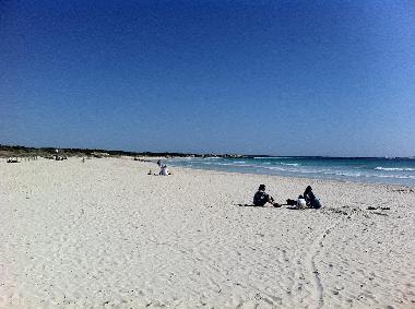Maison de vacances /en/au Sa Rapita (Mallorca)ou appartement ou maison de vacances