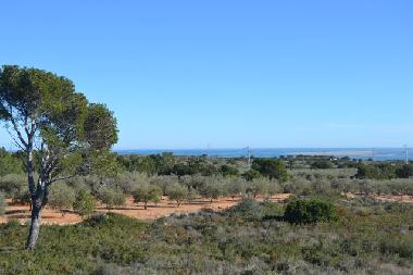 Maison de vacances /en/au camarles (Tarragona)ou appartement ou maison de vacances
