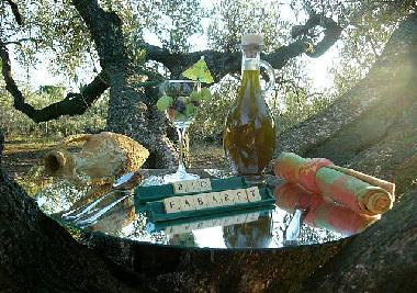 Maison de vacances /en/au camarles (Tarragona)ou appartement ou maison de vacances