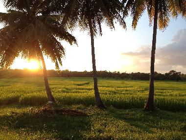 Villa /en/au Nongkhai (Nong Khai)ou appartement ou maison de vacances