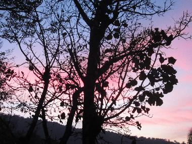 Chambre avec petit djeuner /en/au Lewella (Kandy)ou appartement ou maison de vacances