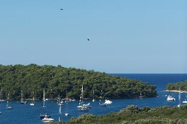 Chambre avec petit djeuner /en/au Pula (Istarska)ou appartement ou maison de vacances