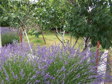 Appartement de vacances �/en/au Pula (Istarska)ou appartement ou maison de vacances