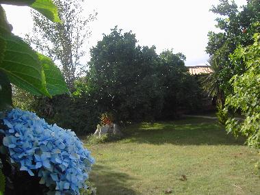 Villa /en/au Ponte de Lima (Norte)ou appartement ou maison de vacances