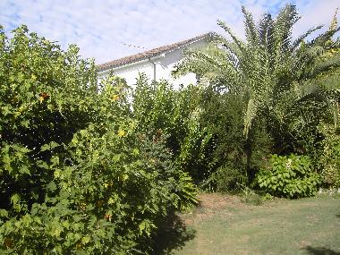 Villa /en/au Ponte de Lima (Norte)ou appartement ou maison de vacances