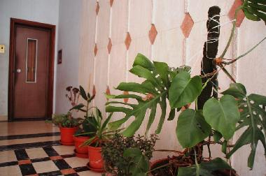 Appartement de vacances /en/au Rome (Rome)ou appartement ou maison de vacances