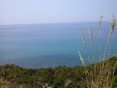 Villa /en/au Pisciotta (Salerno)ou appartement ou maison de vacances