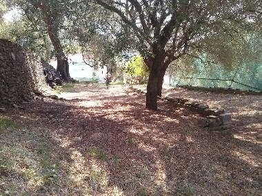 Villa /en/au Pisciotta (Salerno)ou appartement ou maison de vacances