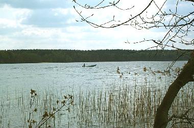Appartement de vacances /en/au Rheinsberg (Mecklenburgische Seenplatte)ou appartement ou maison de vacances