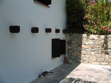 Maison de vacances /en/au Stavrohori (Lasithi)ou appartement ou maison de vacances