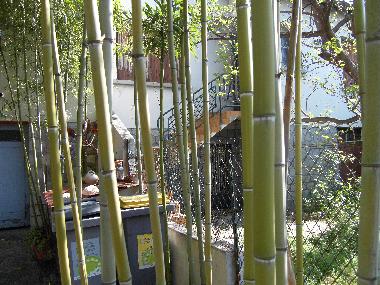 Appartement de vacances /en/au montpellier (Hrault)ou appartement ou maison de vacances