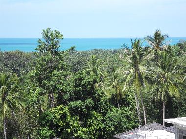 Villa /en/au Boh Phut (Surat Thani)ou appartement ou maison de vacances
