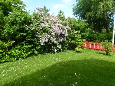 Maison de vacances �/en/au Zingst (Fischland-Dar�-Zingst)ou appartement ou maison de vacances