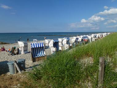 Maison de vacances �/en/au Zingst (Fischland-Dar�-Zingst)ou appartement ou maison de vacances