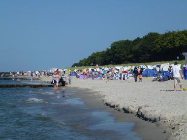 Maison de vacances �/en/au Zingst (Fischland-Dar�-Zingst)ou appartement ou maison de vacances