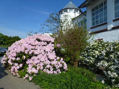 Maison de vacances �/en/au Zingst (Fischland-Dar�-Zingst)ou appartement ou maison de vacances