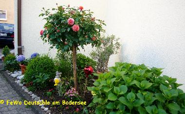 Appartement de vacances /en/au Friedrichshafen (Bodensee)ou appartement ou maison de vacances