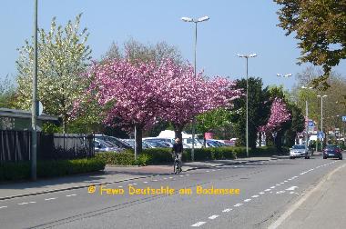 Appartement de vacances /en/au Friedrichshafen (Bodensee)ou appartement ou maison de vacances
