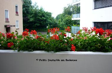 Appartement de vacances /en/au Friedrichshafen (Bodensee)ou appartement ou maison de vacances