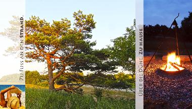 Maison de vacances �/en/au Ostseebad Prerow (Fischland-Dar�-Zingst)ou appartement ou maison de vacances