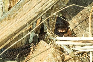 Maison de vacances /en/au Uherce Mineralne (Podkarpackie)ou appartement ou maison de vacances