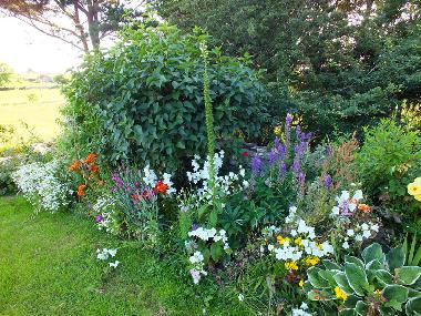 Maison de vacances �/en/au Newport (Mayo)ou appartement ou maison de vacances