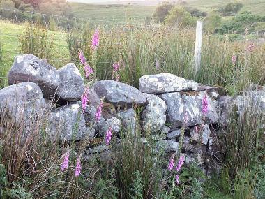 Maison de vacances �/en/au Newport (Mayo)ou appartement ou maison de vacances