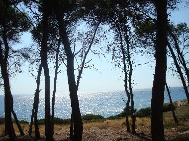 Villa /en/au Leporano Marina (Taranto)ou appartement ou maison de vacances