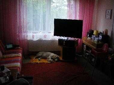 Appartement de vacances /en/au Insko (Zachodniopomorskie)ou appartement ou maison de vacances