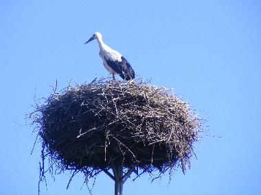 Appartement de vacances /en/au Insko (Zachodniopomorskie)ou appartement ou maison de vacances