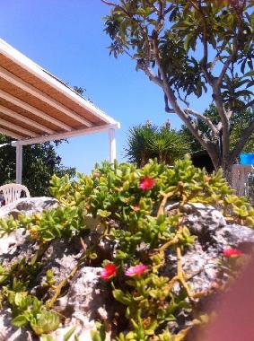 Maison de vacances �/en/au Ostuni (Brindisi)ou appartement ou maison de vacances