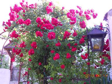 Villa �/en/au Agyagosszergeny (Gyor-Moson-Sopron)ou appartement ou maison de vacances