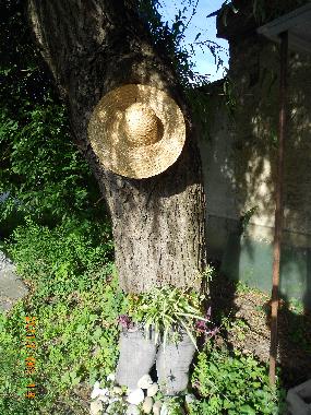 Villa �/en/au Agyagosszergeny (Gyor-Moson-Sopron)ou appartement ou maison de vacances