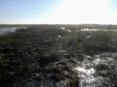 Maison de vacances �/en/au Maun (Ngamiland)ou appartement ou maison de vacances