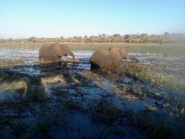 Maison de vacances �/en/au Maun (Ngamiland)ou appartement ou maison de vacances