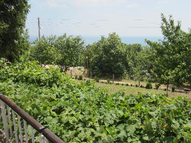 Maison de vacances �/en/au Balchik (Varna)ou appartement ou maison de vacances