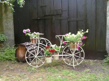 Maison de vacances �/en/au Castiglione del Lago (Perugia)ou appartement ou maison de vacances