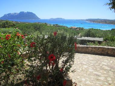 Appartement de vacances �/en/au Porto Istana (Olbia-Tempio)ou appartement ou maison de vacances