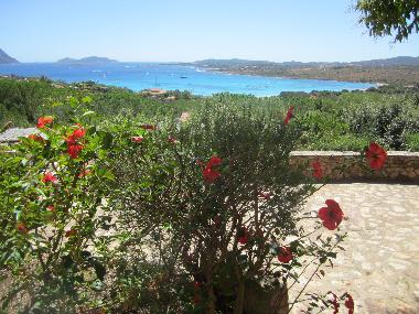 Appartement de vacances �/en/au Porto Istana (Olbia-Tempio)ou appartement ou maison de vacances