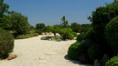 Maison de vacances /en/au Kouklia (Paphos)ou appartement ou maison de vacances