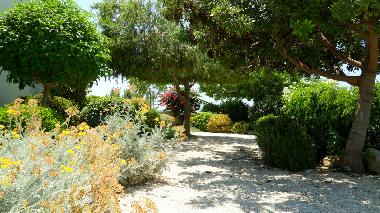 Maison de vacances /en/au Kouklia (Paphos)ou appartement ou maison de vacances