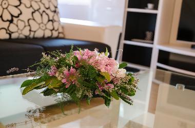 Appartement de vacances /en/au Sibenik (Sibensko-Kninska)ou appartement ou maison de vacances