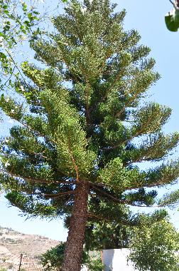 Villa /en/au Bali Rethymnon (Rethymni)ou appartement ou maison de vacances