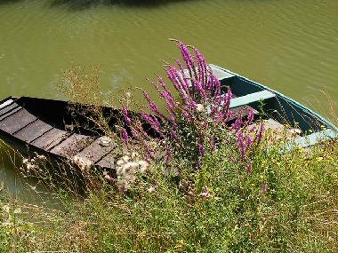 Maison de vacances /en/au bournezeau (Vende)ou appartement ou maison de vacances