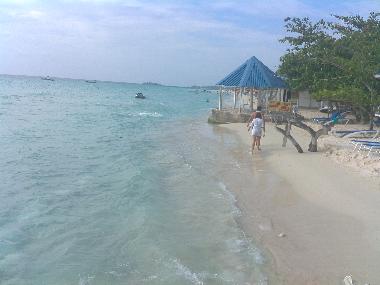 Maison de vacances �/en/au Westmoreland (Westmoreland)ou appartement ou maison de vacances